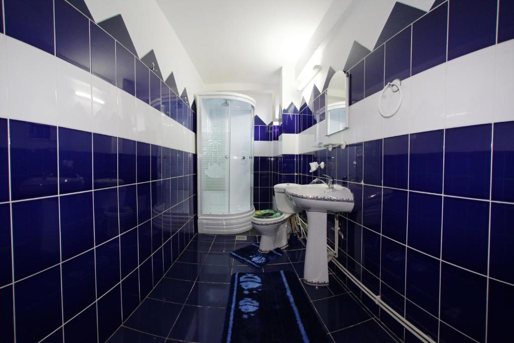 Pension Ramona Zalau Room photo